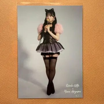 아키야마 유나 AKB48 랜덤 브로마이드 다이마루 도쿄 대의상전