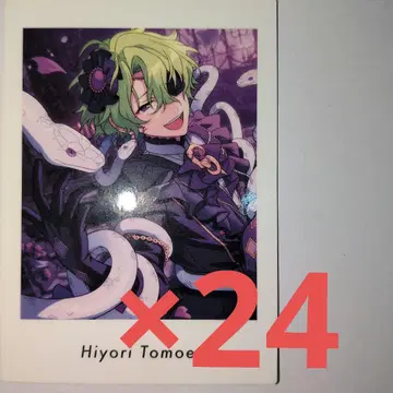 앙스타 파샤츠 토모에 히요리