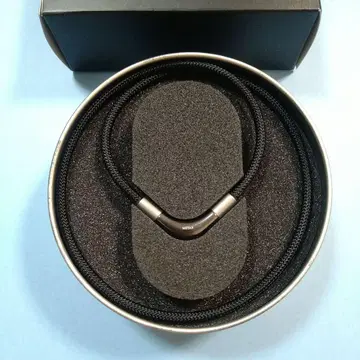 파이텐 RAKUWA 넥 메탁스