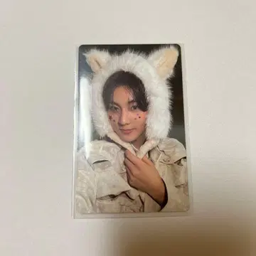 enhypen 정원 daydream 트레이딩 카드