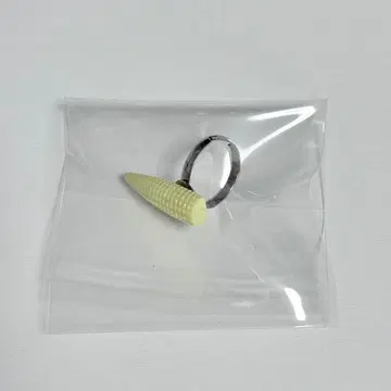 콘 약 반지 영 코콘 가챠가챠