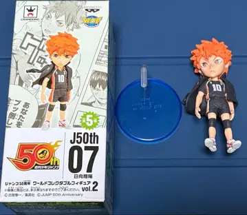 하이큐 월드 컬렉션 히나타 쇼요