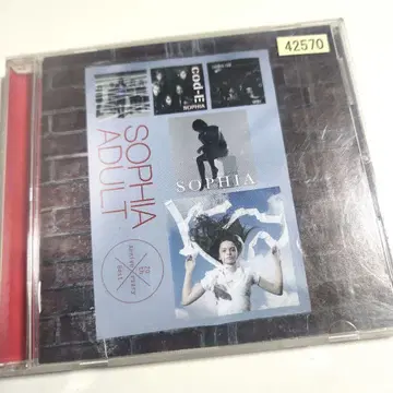 20th ANNIVERSARY BEST 3 ADULT(2008-2013)