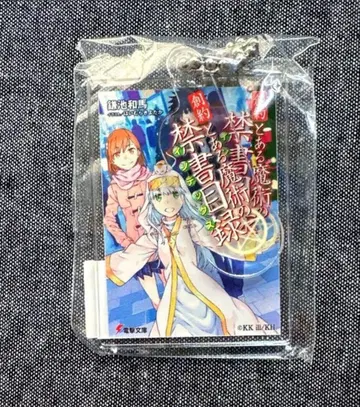 가샤본 아크릴 키링 어떤 마술의 금서목록 전격문고