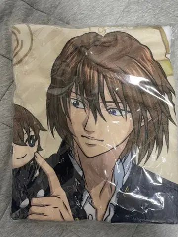 후지 슈스케 빅 타월