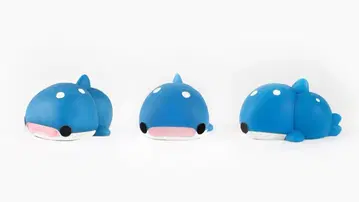 모니마루즈 징베상어