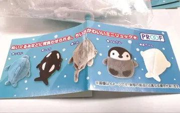 치맛단! 마린 백팩