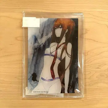 슈타인즈 게이트 아크릴 아트 마키세 크리스