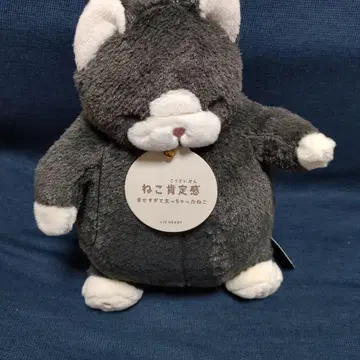 고양이 긍정감 검은 고양이 참치 M 사이즈