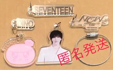 SEVENTEEN BUNKASAI DIY 디노 봉봉이 도쿄