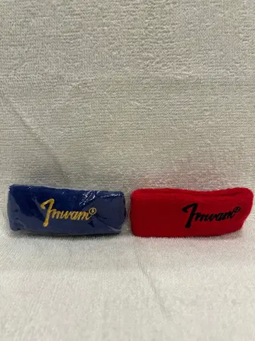 MAN WITH A MISSION 리스트 밴드