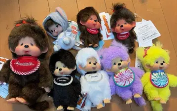 몽치치 묶음 판매