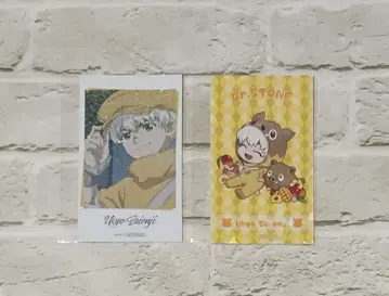 사이온지 우쿄 파보테리아 2세트