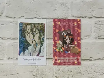 시시가미 아오이 파보테리아 2세트