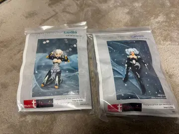 MUSCUTO 가동 컬러 레진 키트 2종 세트