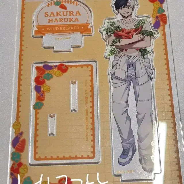 네고ㅇ) 윈브레 윈드브레이커 사쿠라 하루카 당근 농부 아크릴 스탠드
