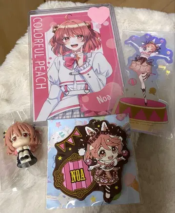 카라피치 노아 씨 4세트