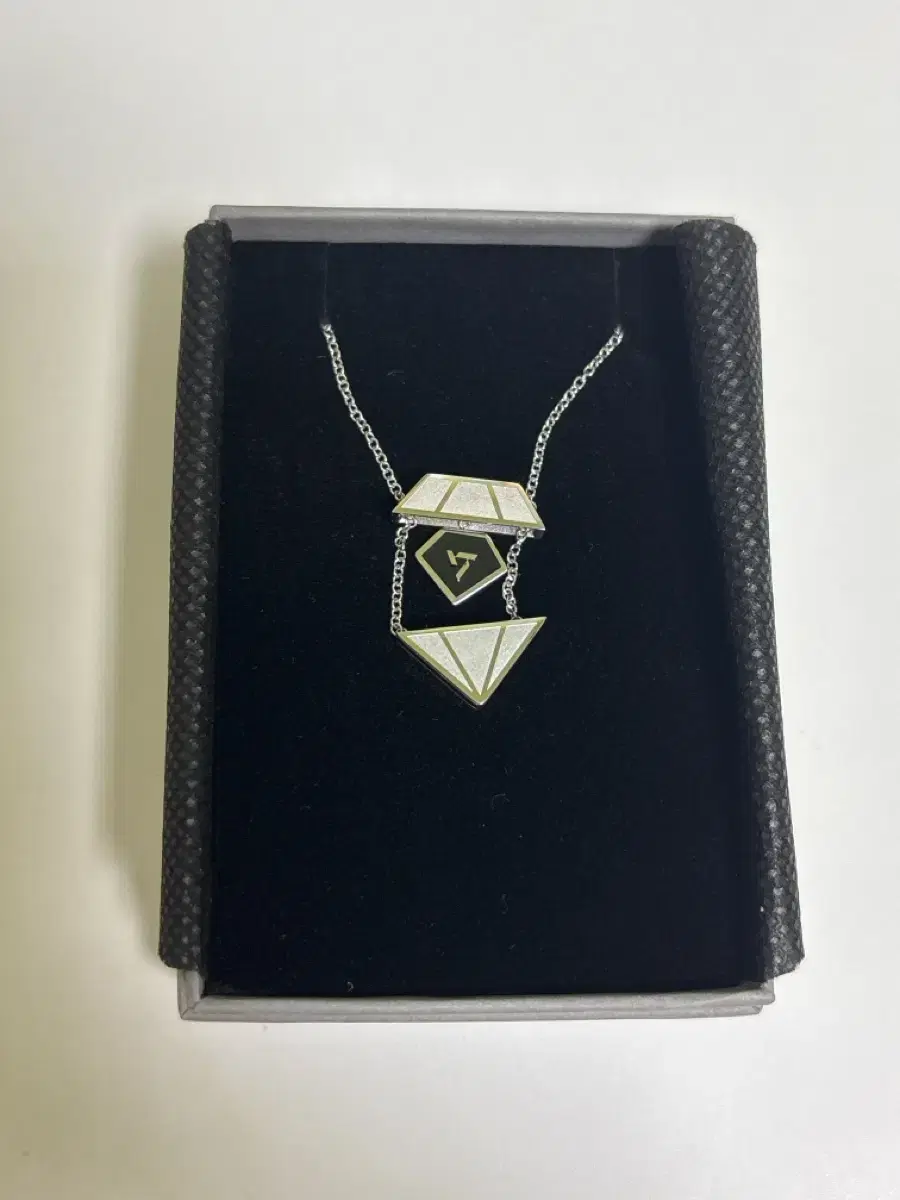 Seventeen 9th anniversary necklace group wts