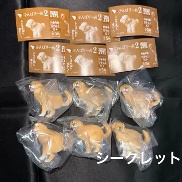 푼바리누 2 시크릿 골든 리트리버 세트