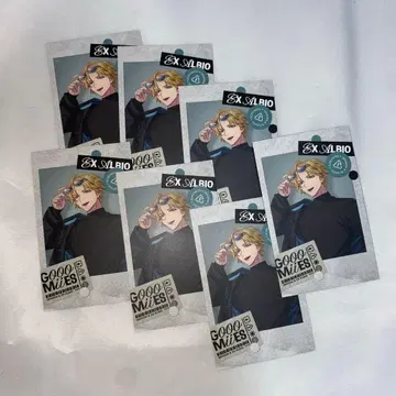 엑스알비오 노멀 폴라로이드