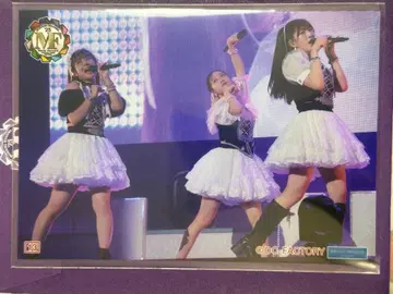 코레샤 오다 사쿠라 하가 아카네 요코야마 레이나