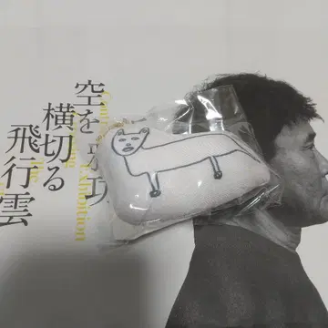 하마다 마코토 전시회 하늘을 가로지르는 비행운 쫀득 마스코트 강아지