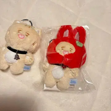 SHINee 온유 진냥 팝업 봉제 인형 키링