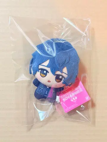 엘리오스R SD 인형 그레이