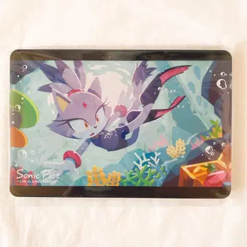 블레이즈 소닉 더 헤지혹 아크릴 블록 SEGA SONIC PICT