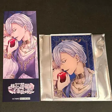 잘생긴 왕자 사이버샵 아젤