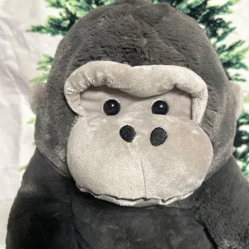 우호호 고릴라의 고리 군 좌식