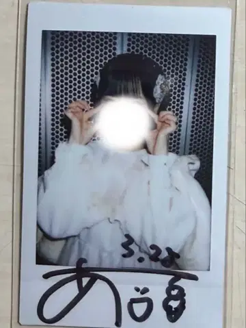 아이스 폴라로이드