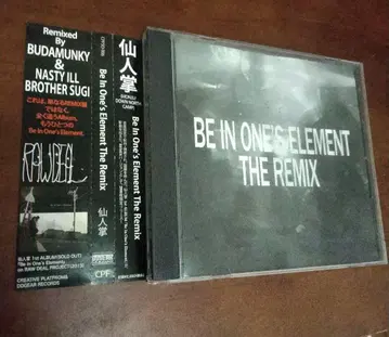 선인장 Be In One's Element The Remix