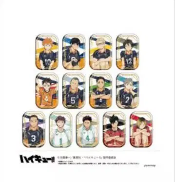 하이큐!! 세븐넷 한정판 앉아 스퀘어 캔뱃지 전 종류