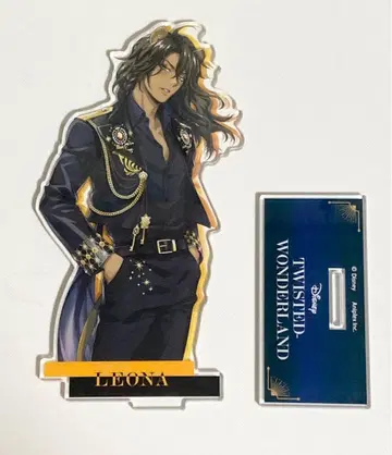 레오나 트위스테 브레이징 주얼 아크릴 스탠드