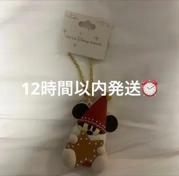 디즈니 크리스마스 릴린린 2025 백참 케이스 포함