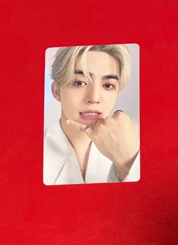 SEVENTEEN NEW_ 인천 에스쿱스 셀카 트레이딩 카드 서울콘