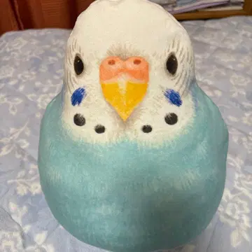 펠리시모 앵무새 부문 사랑앵무