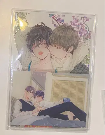 하토야 타마 아크릴 플레이트