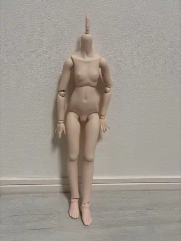 MDD 바디(DD-f3) 세미 화이트