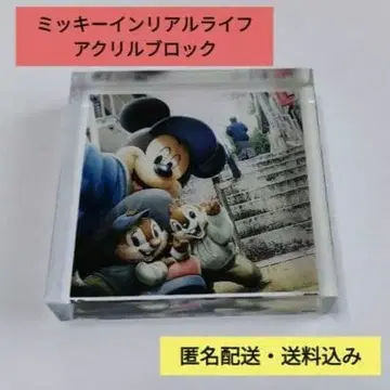 미키 인 리얼 라이프 디즈니 아크릴 블록 Disney