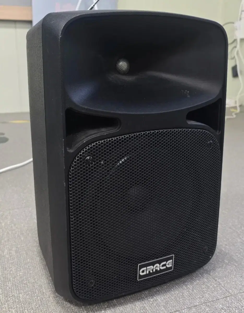 Grace GRACE EG-210 Amp Speaker Full Set, Excellent Condition