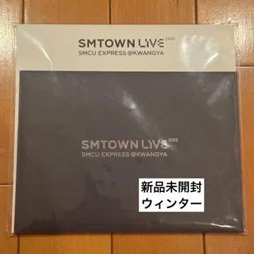 SMTOWN LIVE 2022 AR 티켓 aespa 윈터