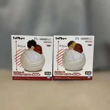 하이큐!!  룸 라이트 2체 세트