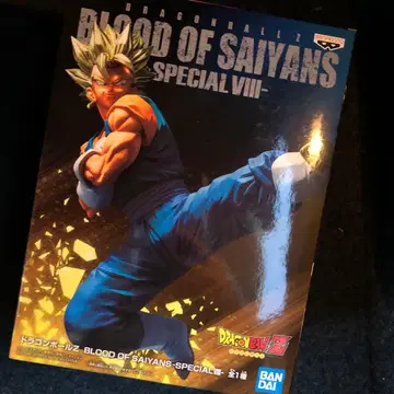 드래곤볼 Z BLOOD OF SAIYANS SPECIALV 초 베지트