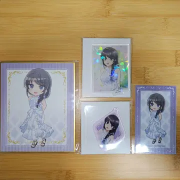 청춘 돼지 녀석 사쿠라지마 마이 피서지 외출 세트