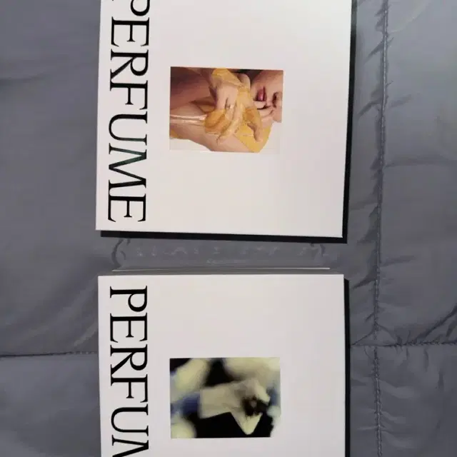 엔시티 도재정 정우 도영 재현 퍼퓸 개별 앨범 양도