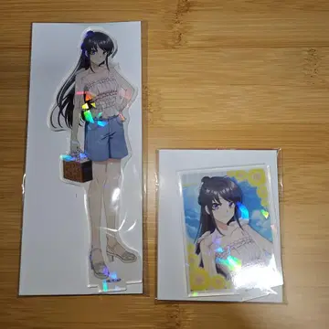 청춘 돼지 녀석 사쿠라지마 마이 여름 외출 세트