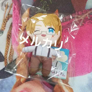 미국 헤타리아 돌 테일러 mini 봉제 인형 world stars