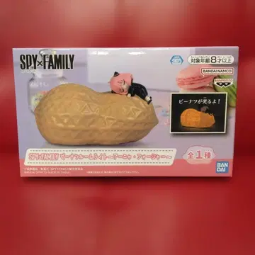 스파이 패밀리 아냐 룸 라이트